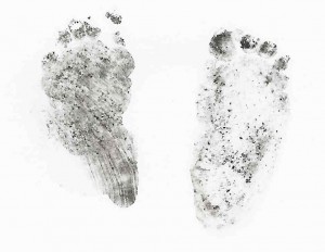Ellie's Foot Prints